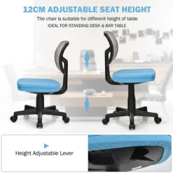 Tangkula Armless Mesh Office Chair Ergonomic Swivel Computer Desk Chair Height Adjustable Task Chair For Adults And Kids 21 Tangkula Armless Mesh Office Chair Ergonomic Swivel Computer Desk Chair Height Adjustable Task Chair For Adults And Kids -Tangkula GUEST e0075cba 6436 4628 923a bd9ae267c99c